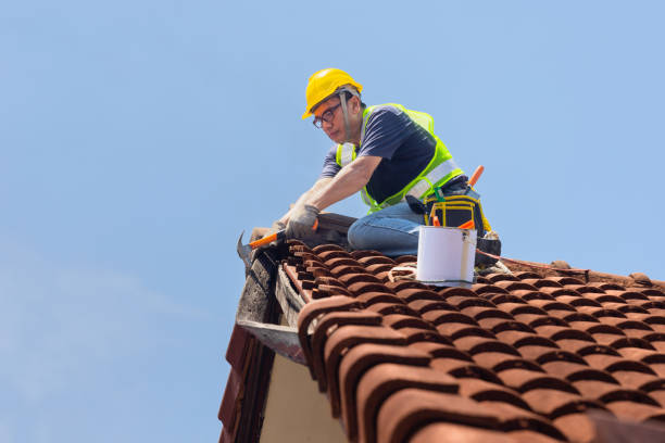 Best Asphalt Shingle Roofing  in Beverly, OH